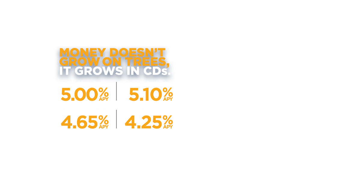 Money doesn't grow on trees. It grows in CDs. 7 months-5.00% APY. 14 months-5.10% APY. 21 Months-4.65% APY. 31 Months-4.25% APY.
