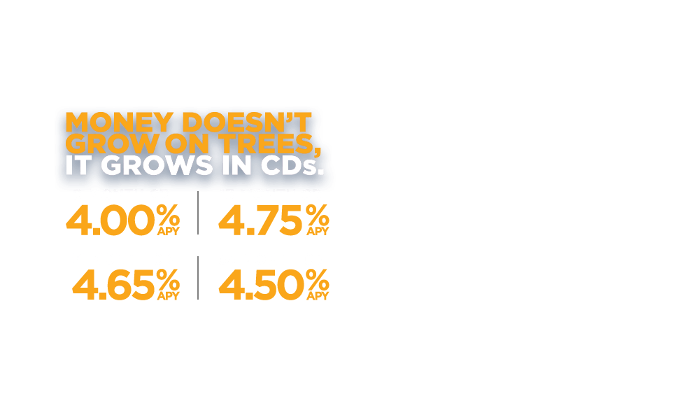 Certificate of Deposits. Great Rates. Safe Investment. 8 months-4.00% APY. 13 months-4.75% APY. 21 Months-4.65% APY. 33 Months-4.50% APY.