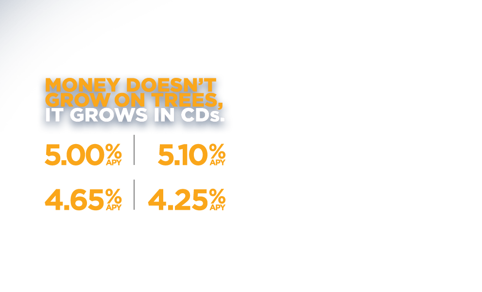 Money doesn't grow on trees. It grows in CDs. 7 months-5.00% APY. 14 months-5.10% APY. 21 Months-4.65% APY. 31 Months-4.25% APY.