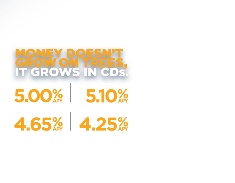 Money doesn't grow on trees. It grows in CDs. 7 months-5.00% APY. 14 months-5.10% APY. 21 Months-4.65% APY. 31 Months-4.25% APY.
