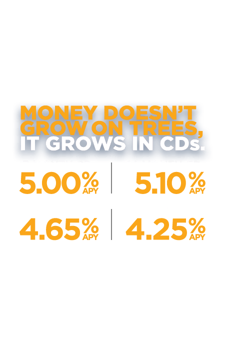 Money doesn't grow on trees. It grows in CDs. 7 months-5.00% APY. 14 months-5.10% APY. 21 Months-4.65% APY. 31 Months-4.25% APY.