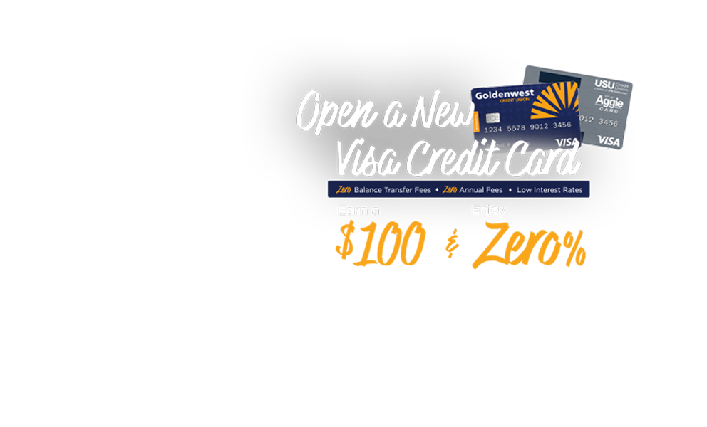 open a new visa credit card