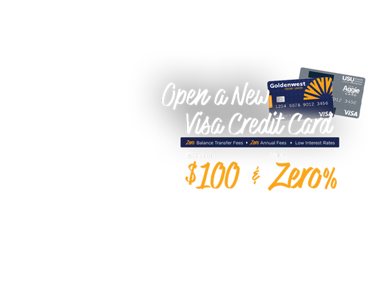 open a new visa credit card