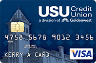 Visa Basic Credit Card