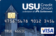 Visa Basic Credit Card