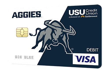 Visa Debit Card