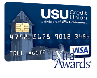 Visa Rewards Credit Card