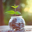 A jar of money with a plant growing out of it (conceptual)