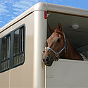Horse Trailer Loans