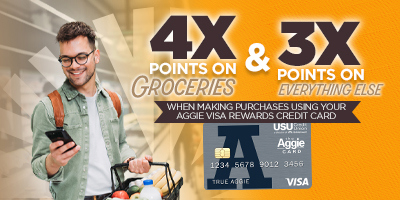 4x points on grocery and 3x points on everything else