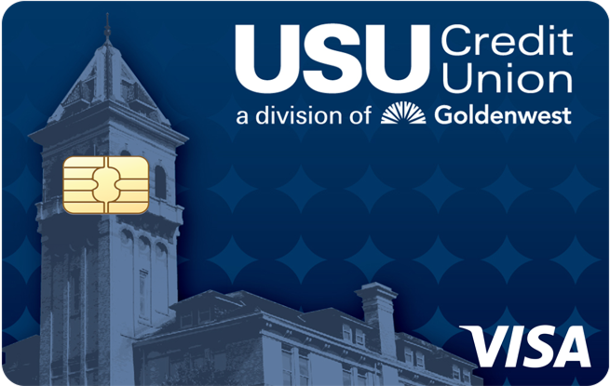   Visa Basic Credit Card