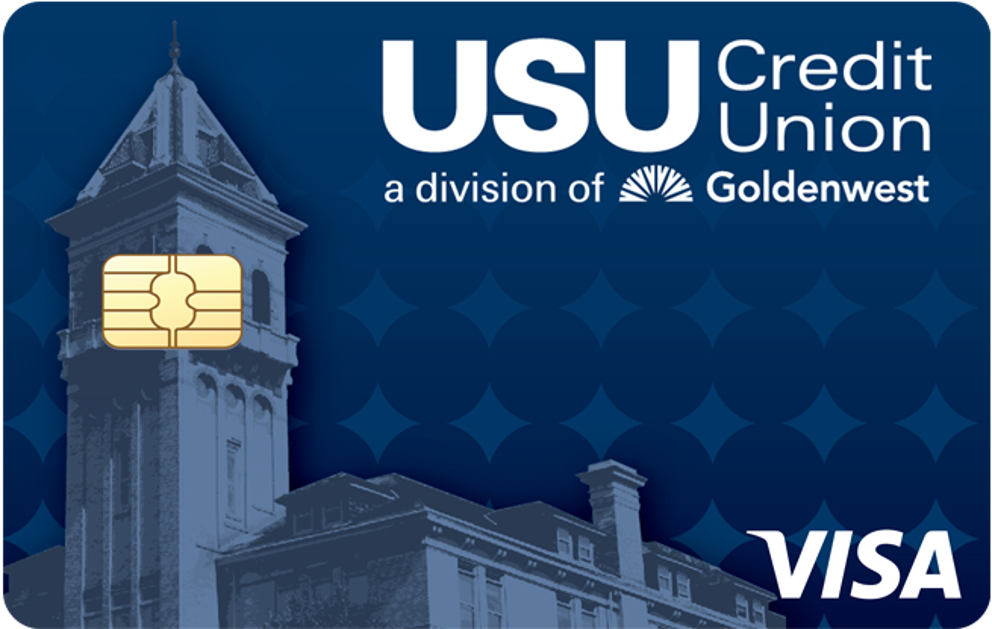   Visa Basic Credit Card